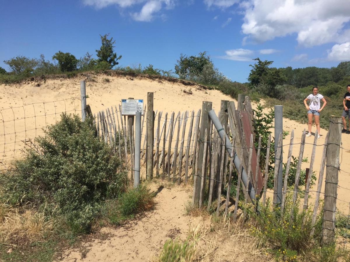 Vakantiehuisje 003 코크시데 외부 사진