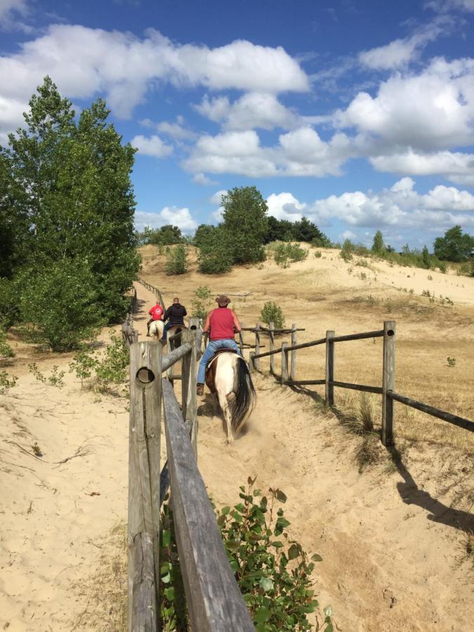 Vakantiehuisje 003 코크시데 외부 사진